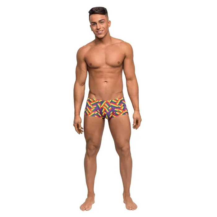 Pride Fest – Mini Short – Medium – Print